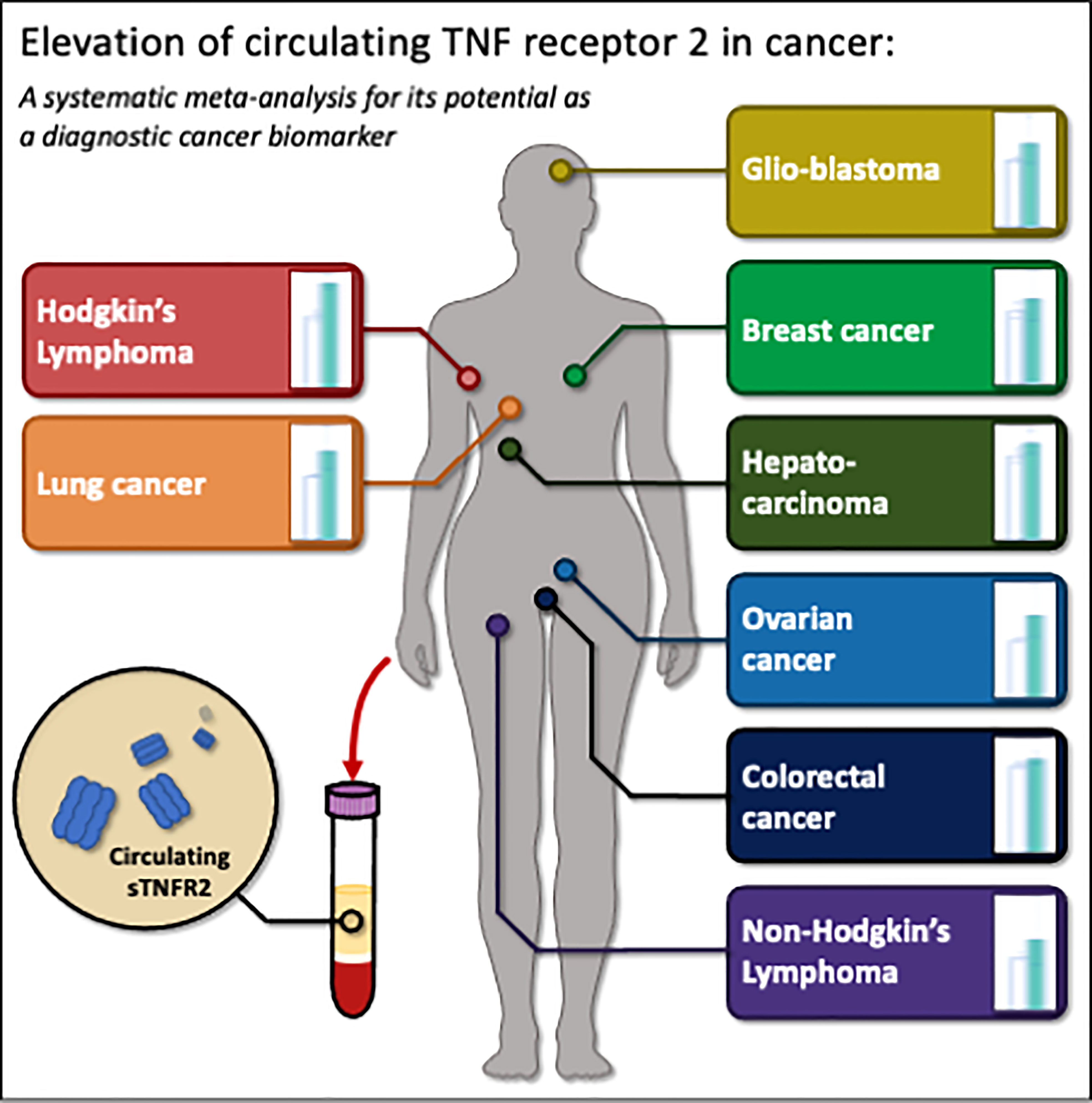 What Does Tumor Progression Mean Vrogue co