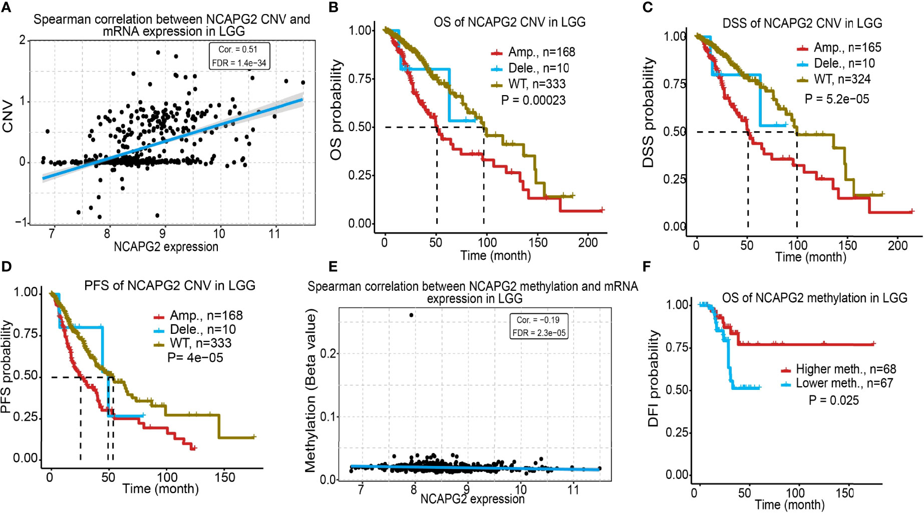 Frontiers | NCAPG2 Is a Novel Prognostic Biomarker and Promotes Cancer ...