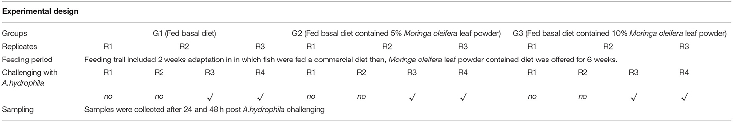 Frontiers | Moringa Oleifera Leaf Powder Dietary Inclusion ...