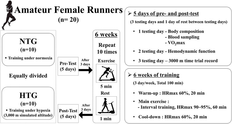 Frontiers Effects of Interval Training Under Hypoxia on Hematological Parameters, Hemodynamic Function, and Endurance Exercise Performance in Amateur Female Runners in Korea image