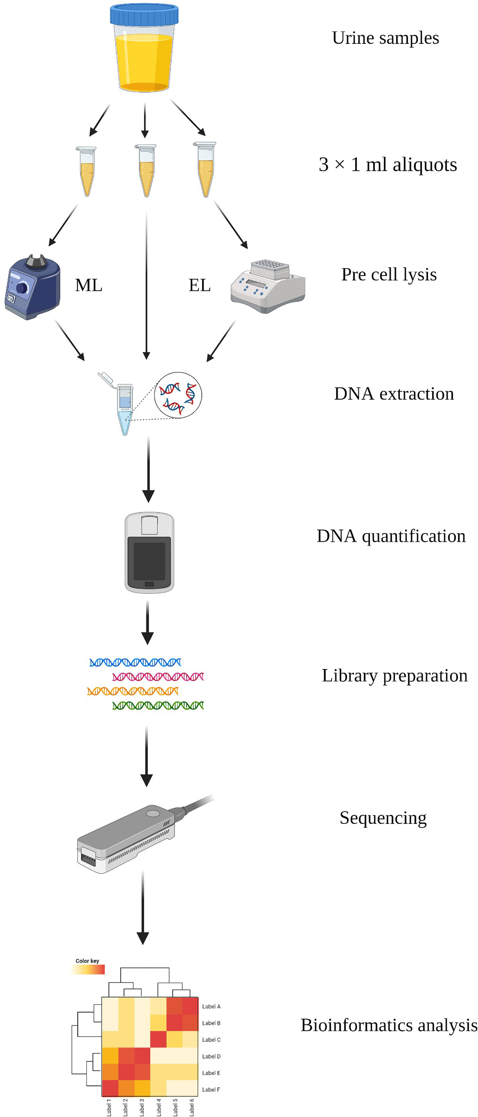 Frontiers Comparison Analysis Of Different Dna Extraction Methods On