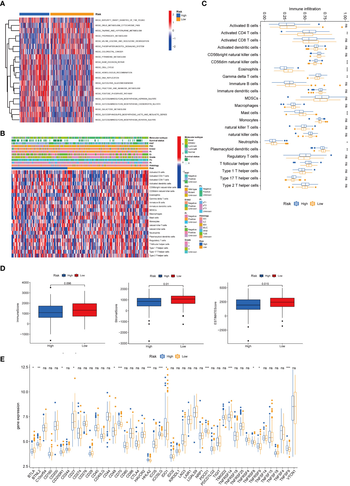 Frontiers | Identification Of Senescence-related Subtypes ...