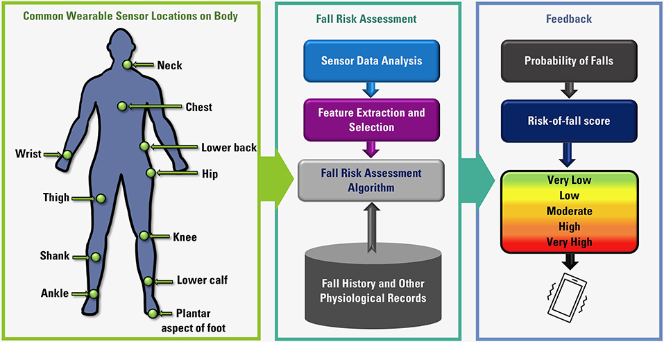 Frontiers  Wearable Sensor Systems for Fall Risk Assessment: A Review