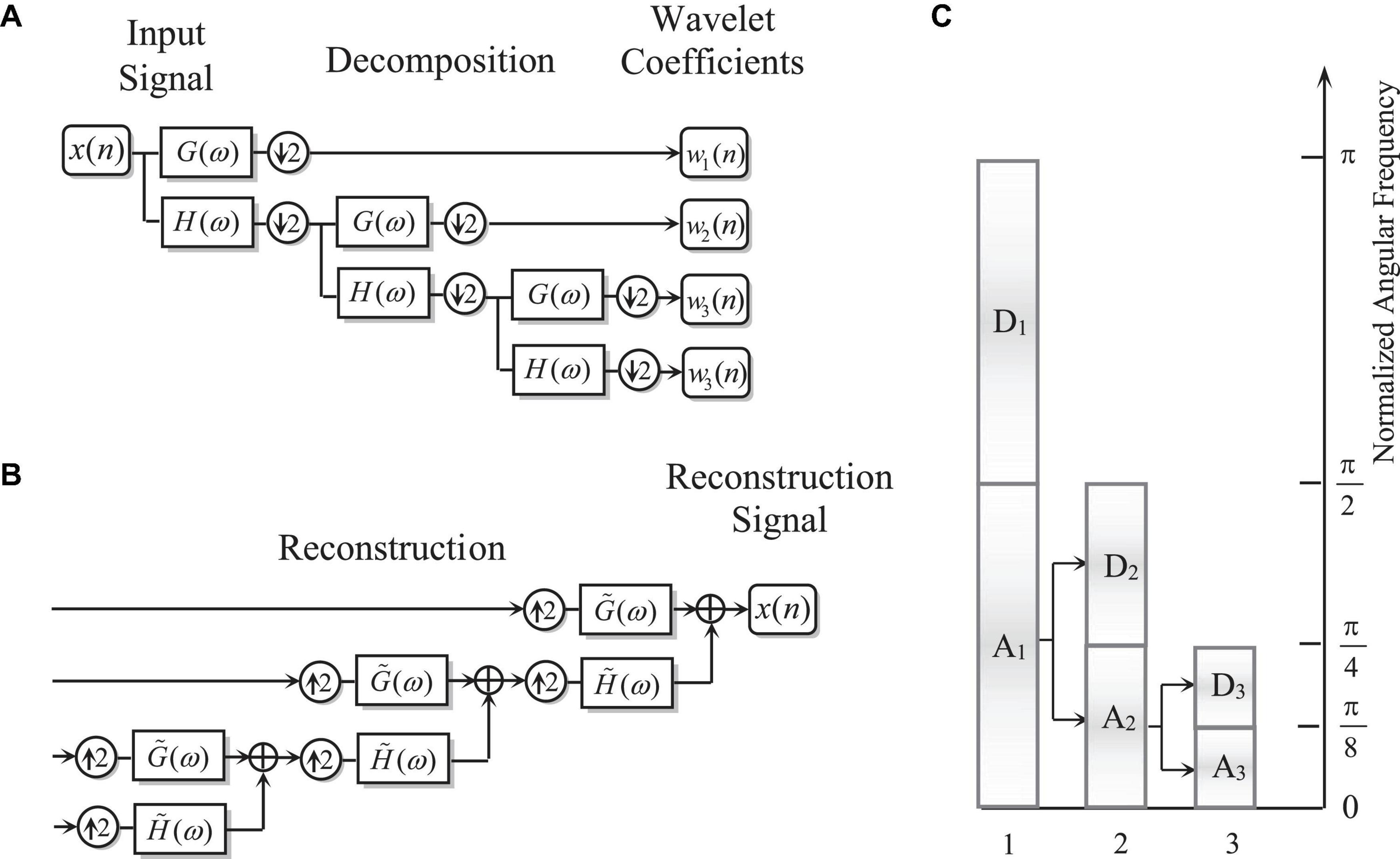 Frontiers Intelligent Extraction Of Salient Feature From 