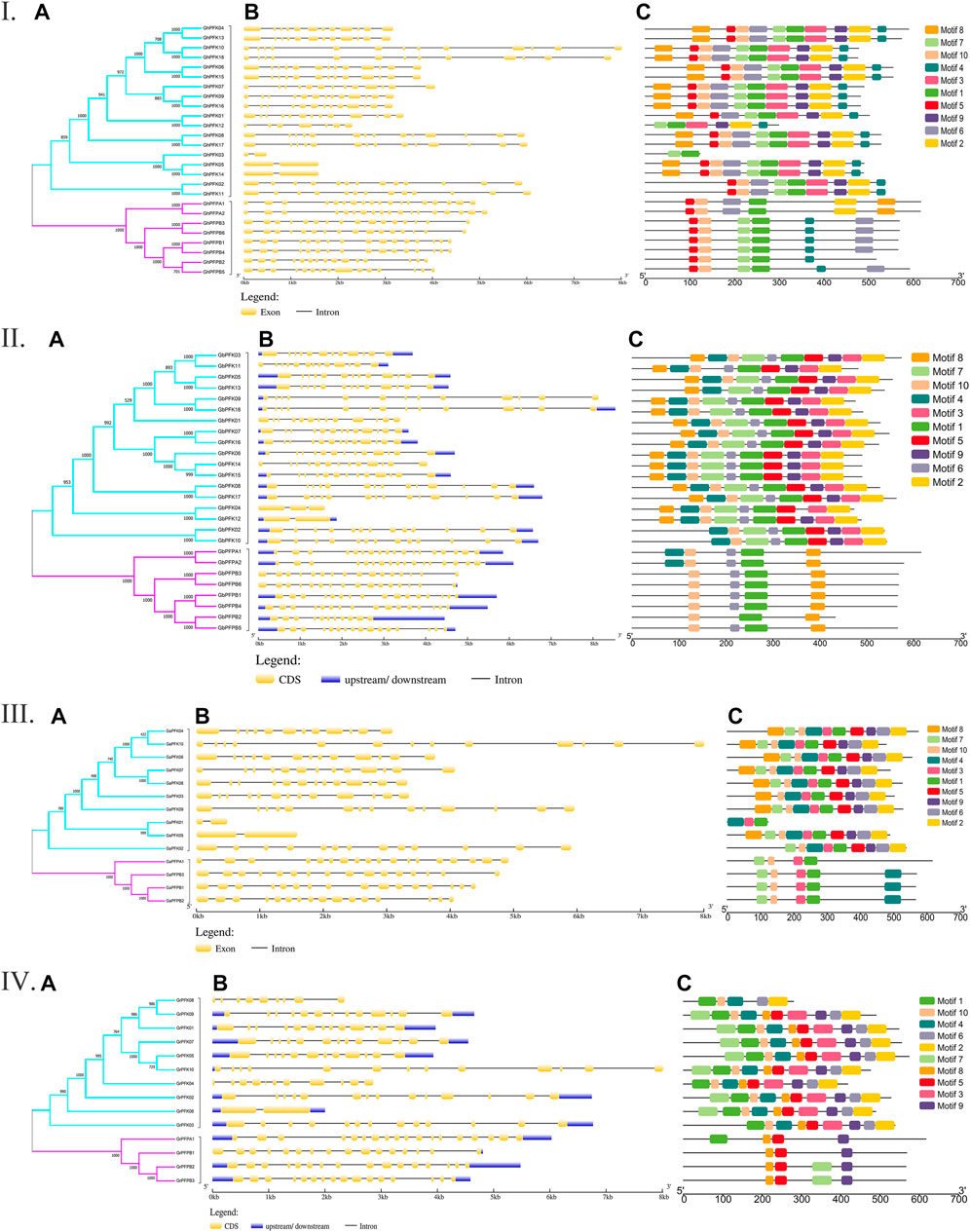 Frontiers | Genome-Wide Identification and Expression Analysis ...