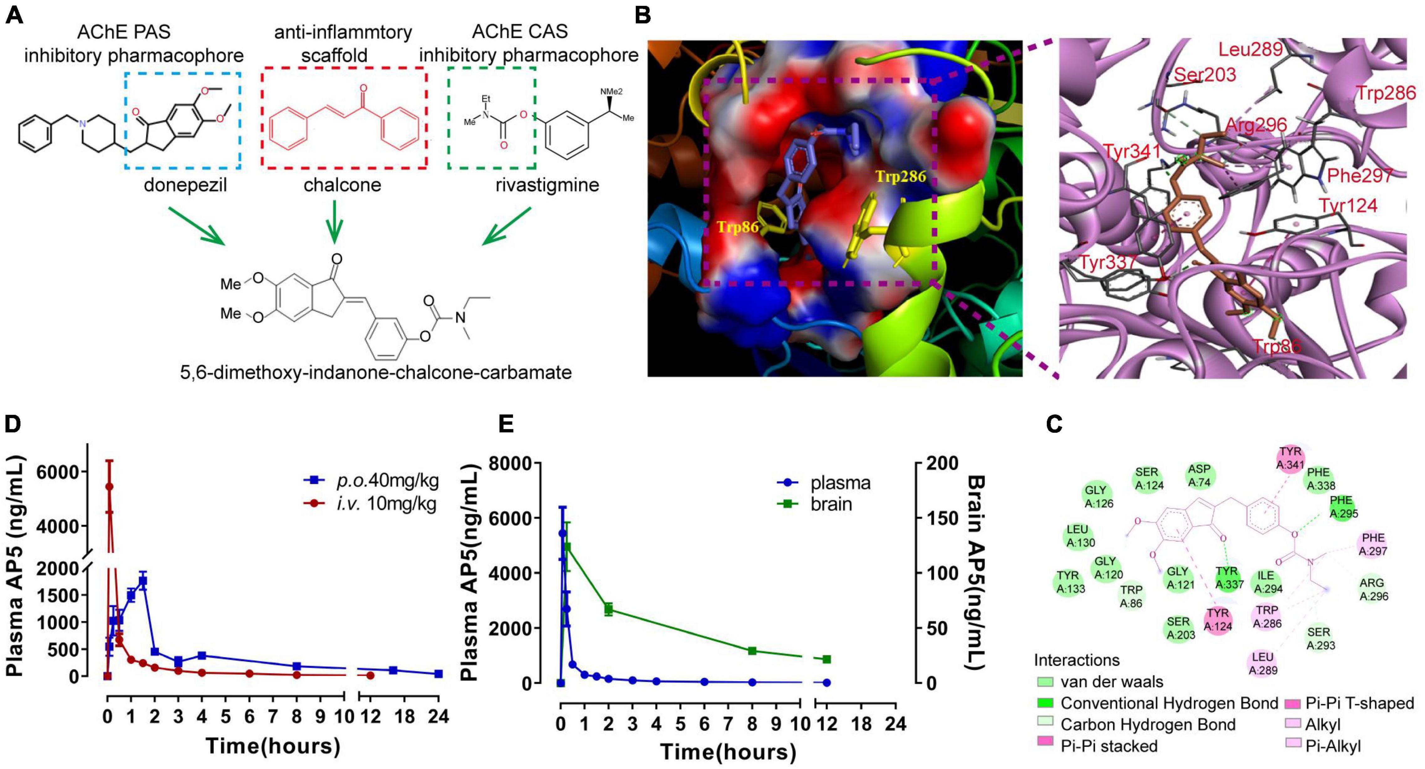 Frontiers | A Novel Multifunctional 5,6-Dimethoxy-Indanone-Chalcone ...