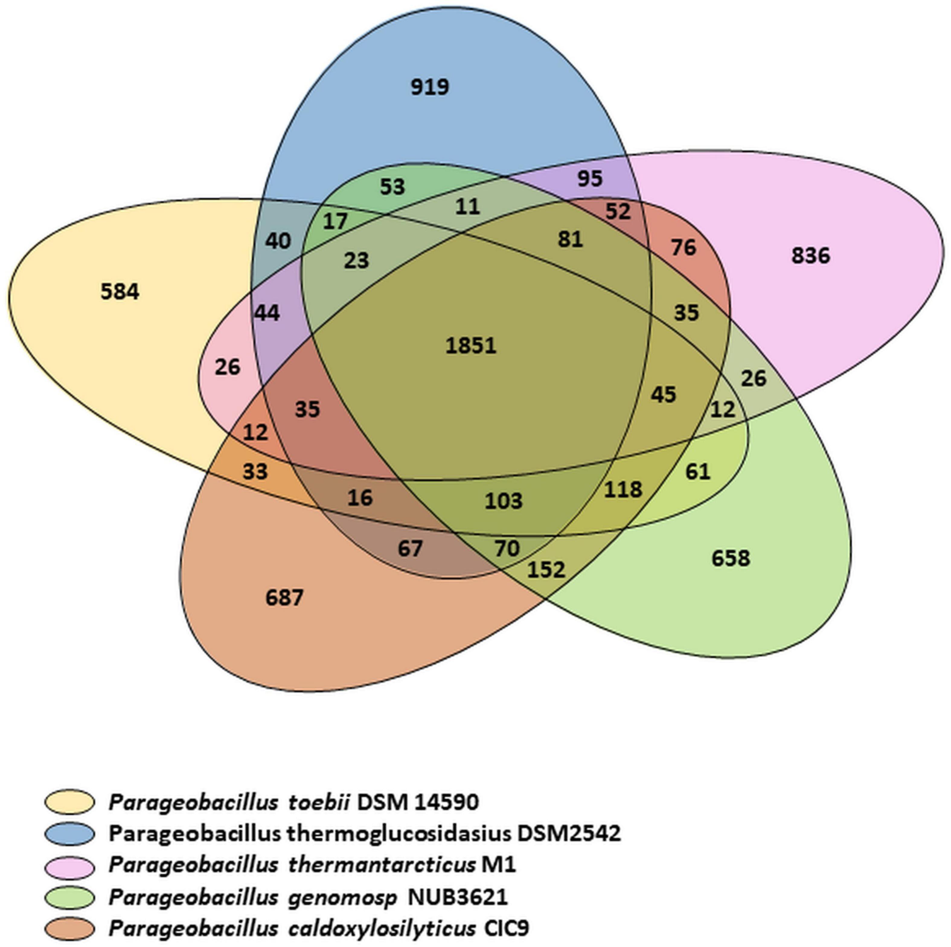 Frontiers  Genomic Analysis Provides New Insights Into Biotechnological  and Industrial Potential of Parageobacillus thermantarcticus M1