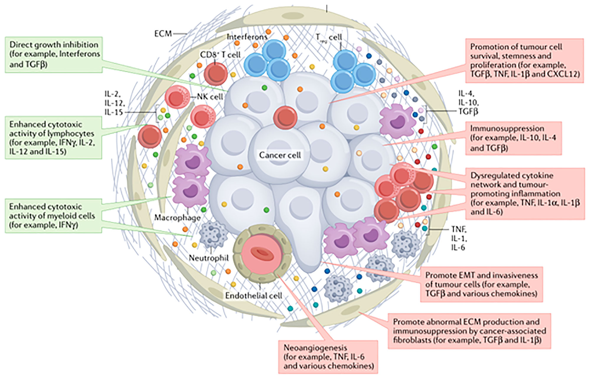 Frontiers | Serum Cytokine Levels For Predicting Immune-related Adverse ...