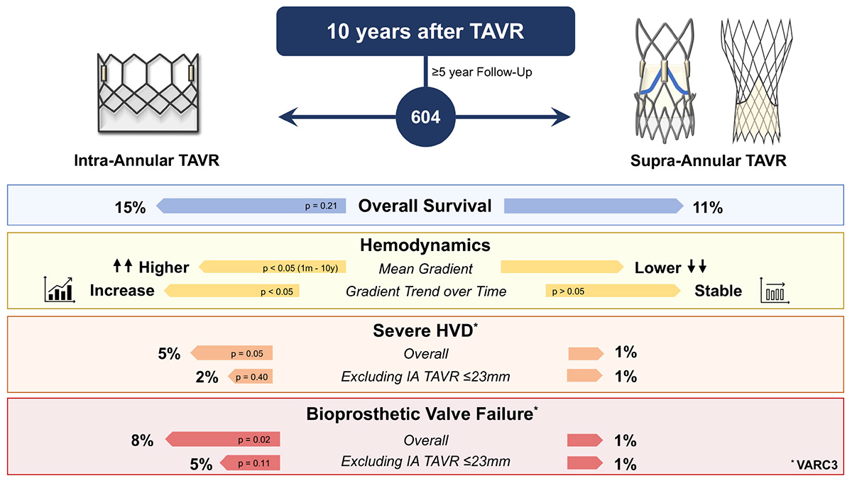 Frontiers 10Year Impact of Transcatheter Aortic Valve Replacement