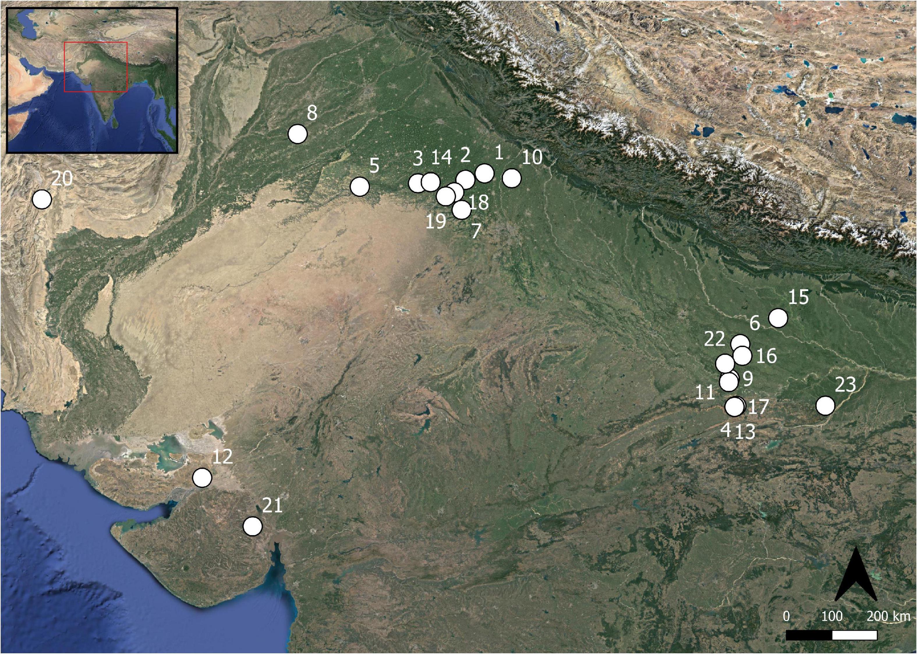 Frontiers The Fits And Starts Of Indian Rice Domestication How The 