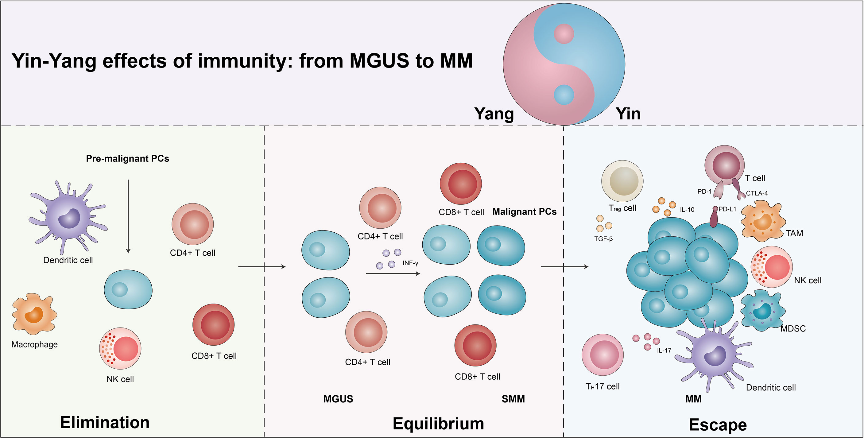 Frontiers The Yinyang Effects Of Immunity From Monoclonal