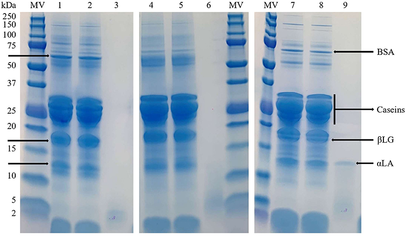 Frontiers | Comparative study of the most commonly used methods for ...