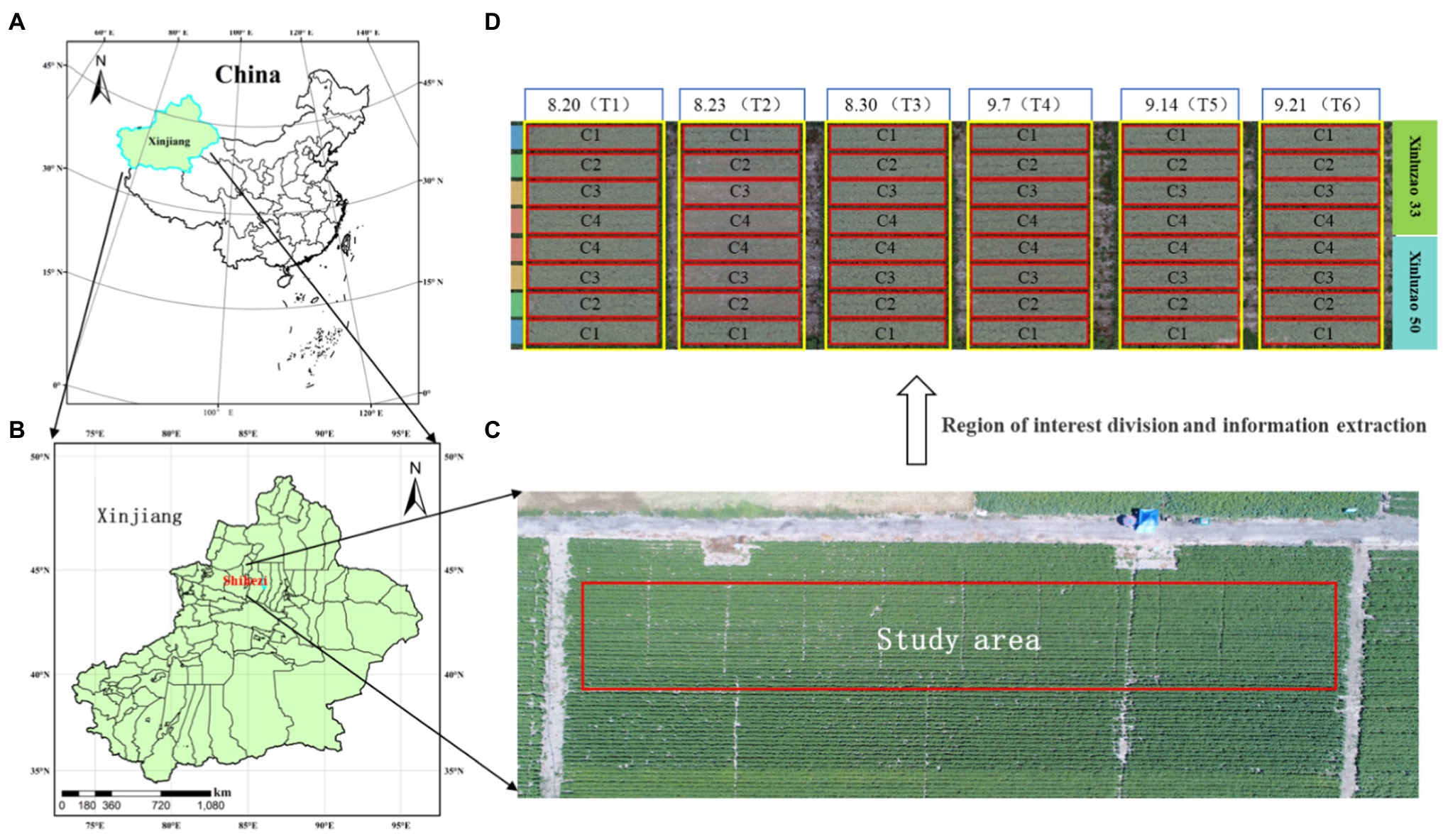 Frontiers  Cotton Yield Estimation Based on Vegetation Indices and Texture  Features Derived From RGB Image