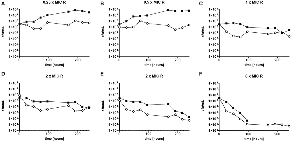 Frontiers | Implications of drug-induced phenotypical resistance: Is ...