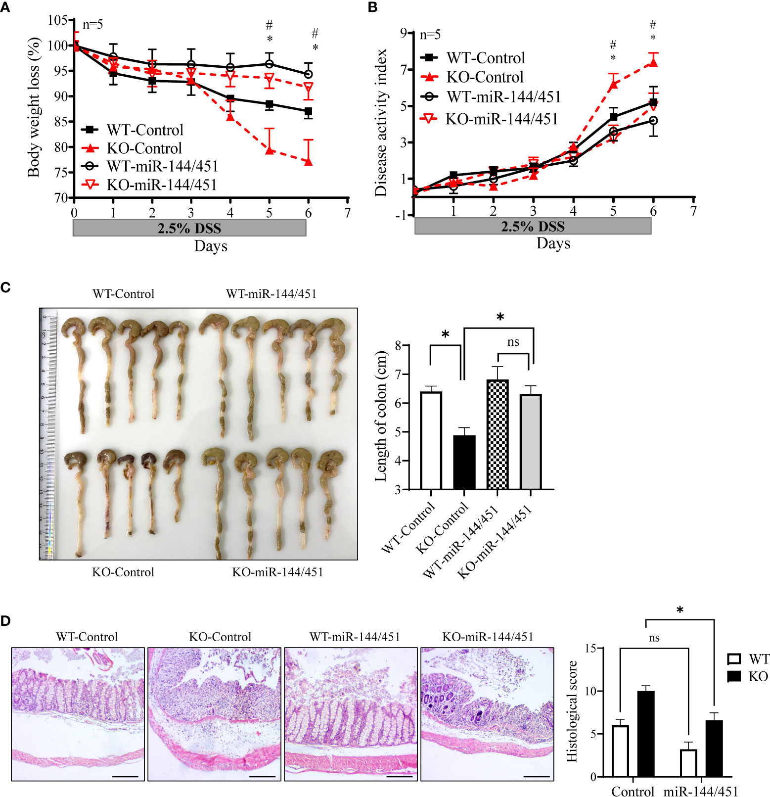 Knockout of miR-144/451 cluster aggravated neurological function and