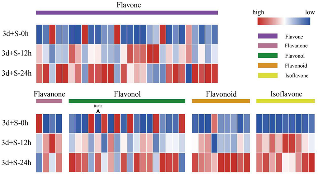 Frontiers | Molecular mechanisms of flavonoid accumulation in ...