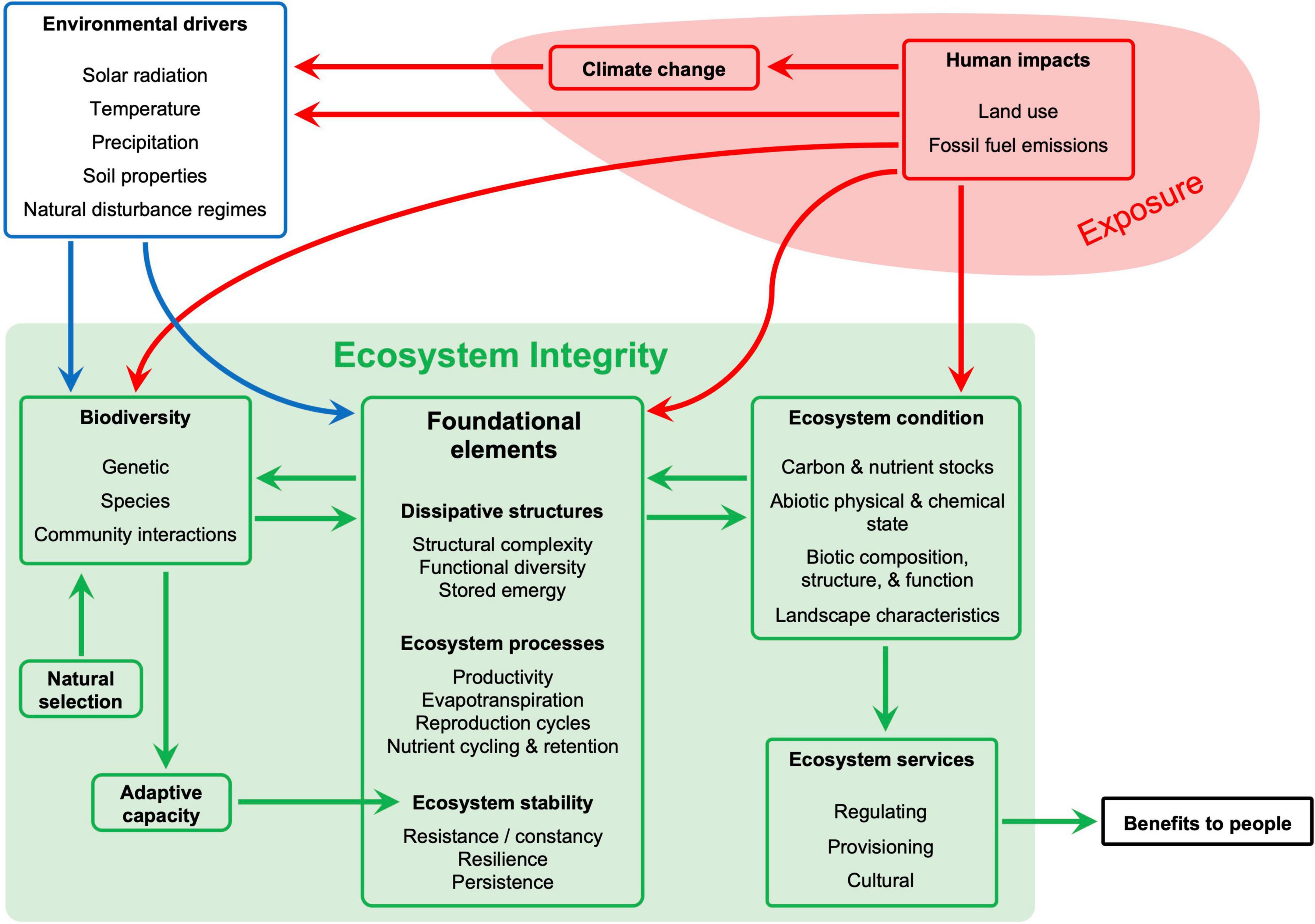 Frontiers  Using ecosystem integrity to maximize climate mitigation and  minimize risk in international forest policy