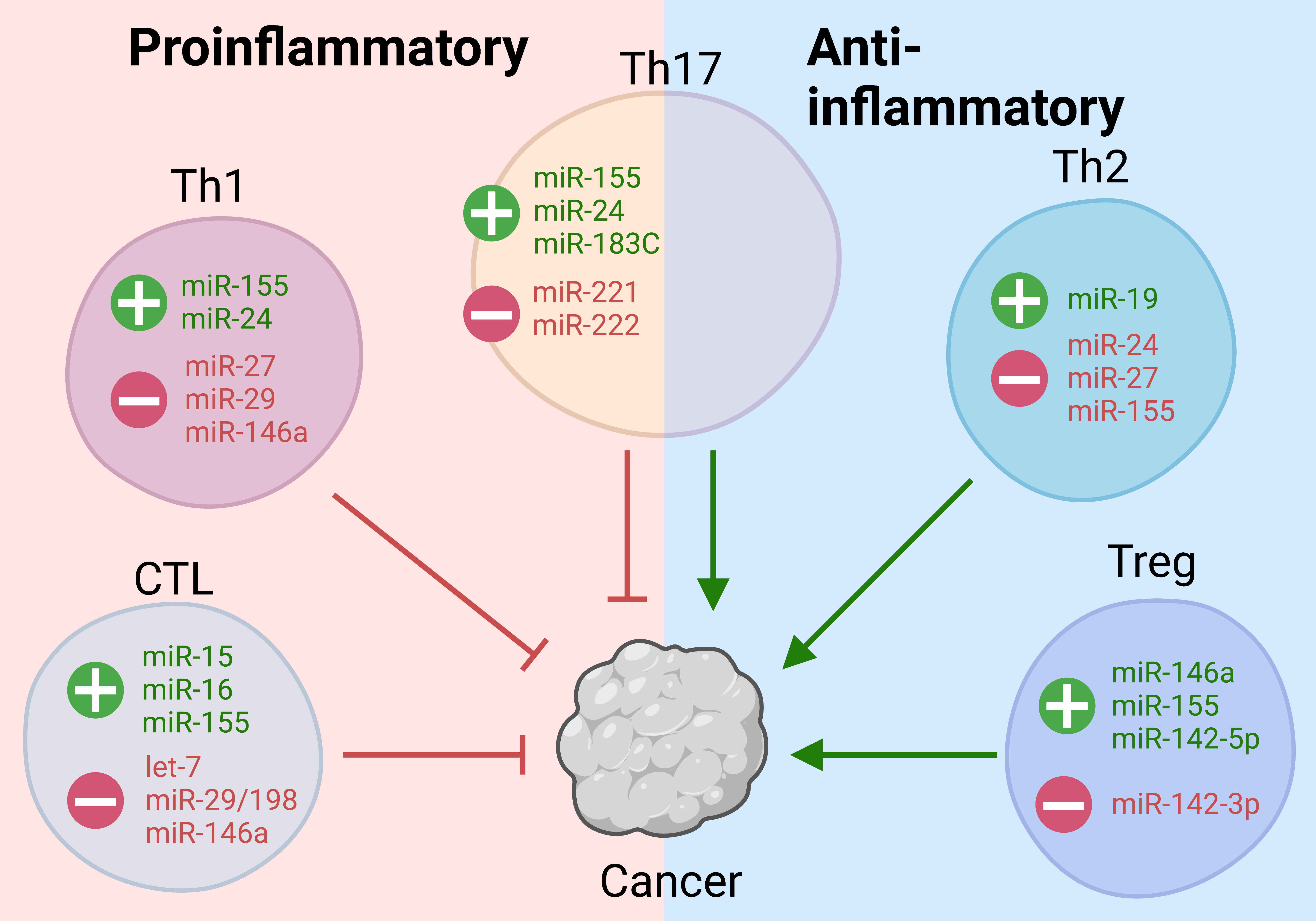 Frontiers  miR-aculous new avenues for cancer immunotherapy