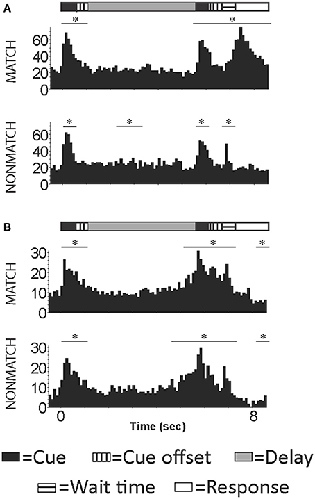 Frontiers Auditory Connections And Functions Of Prefrontal Cortex Neuroscience 4705