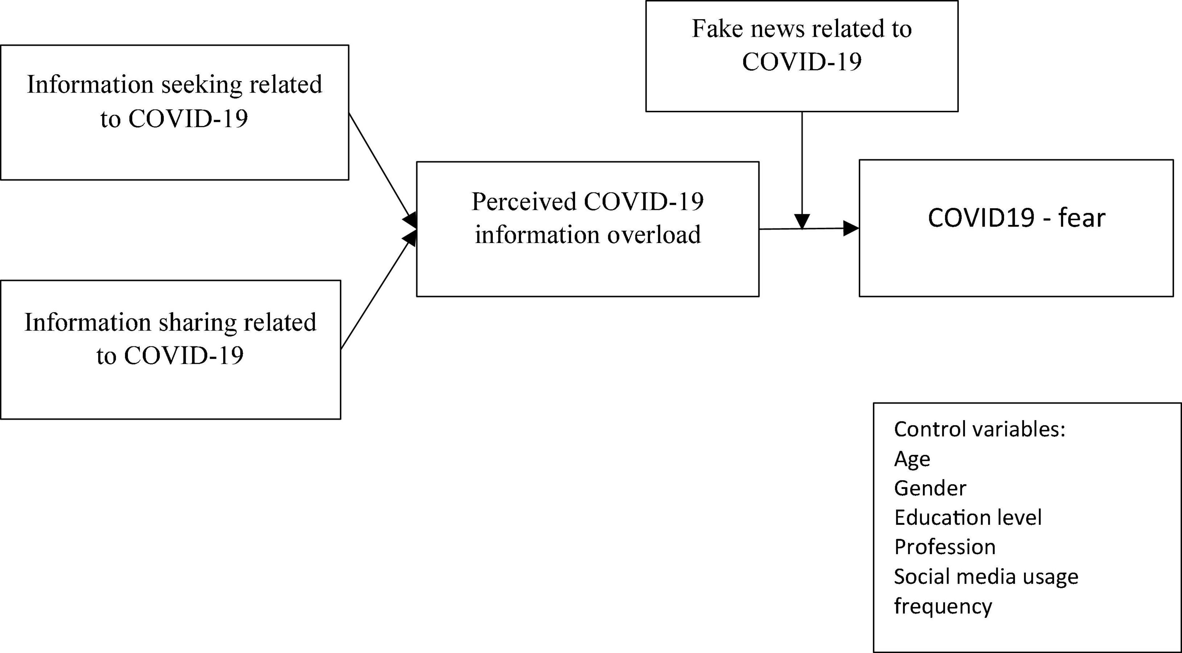 Frontiers | Investigating the Role of Perceived Information