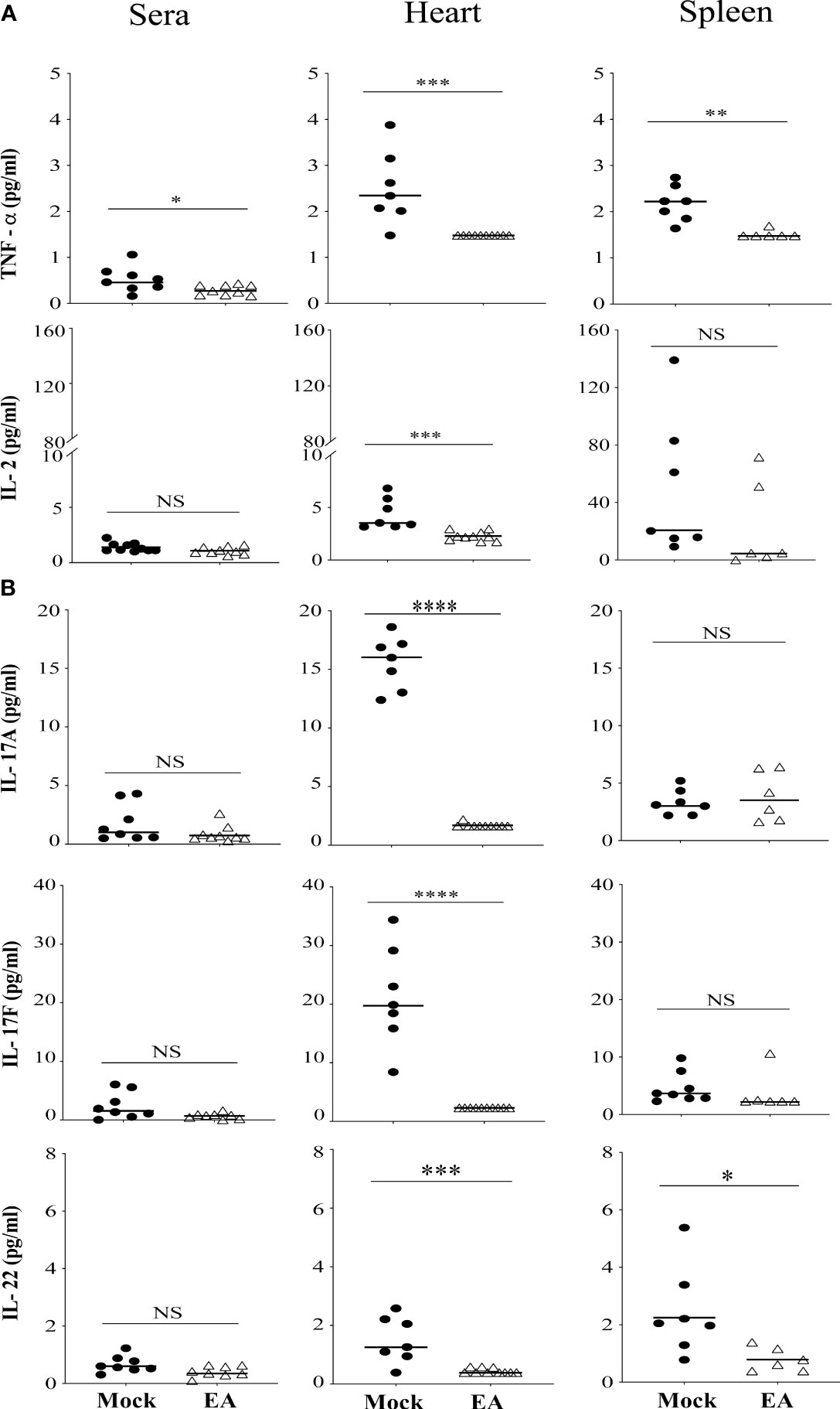 Frontiers  Sciatic–Vagal Nerve Stimulation by Electroacupuncture  Alleviates Inflammatory Arthritis in Lyme Disease-Susceptible C3H Mice
