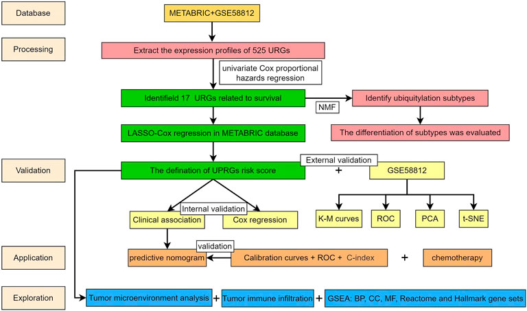 Frontiers | Identification Of Ubiquitination-related Gene ...