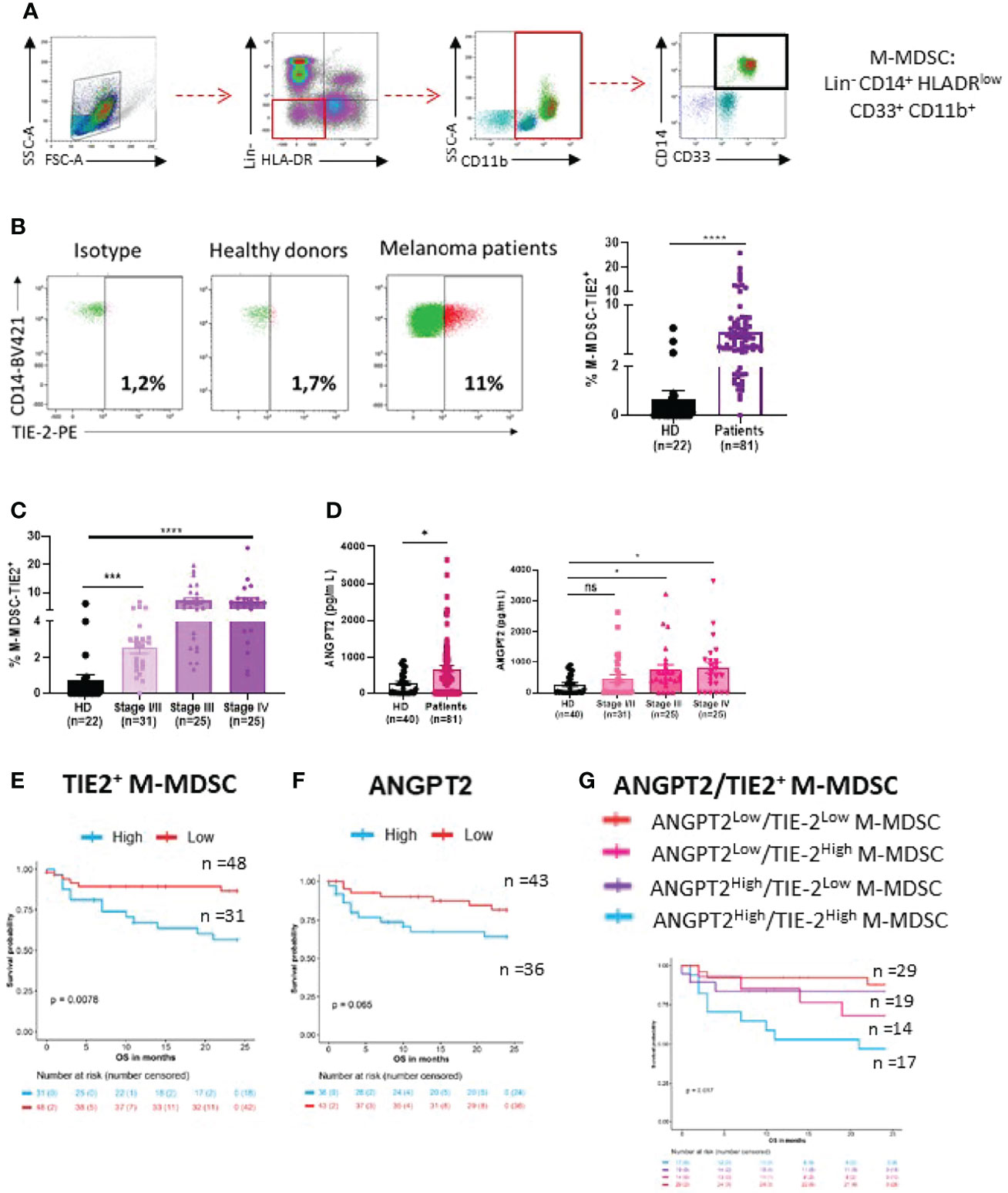 Frontiers | TIE-2 Signaling Activation By Angiopoietin 2 On Myeloid ...