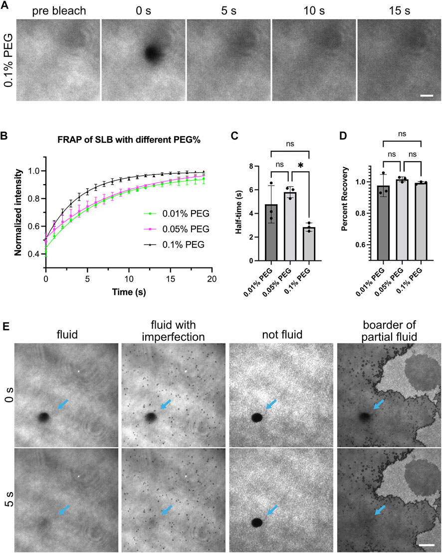 Frontiers Reconstitution Of Phase Separated Signaling Clusters And