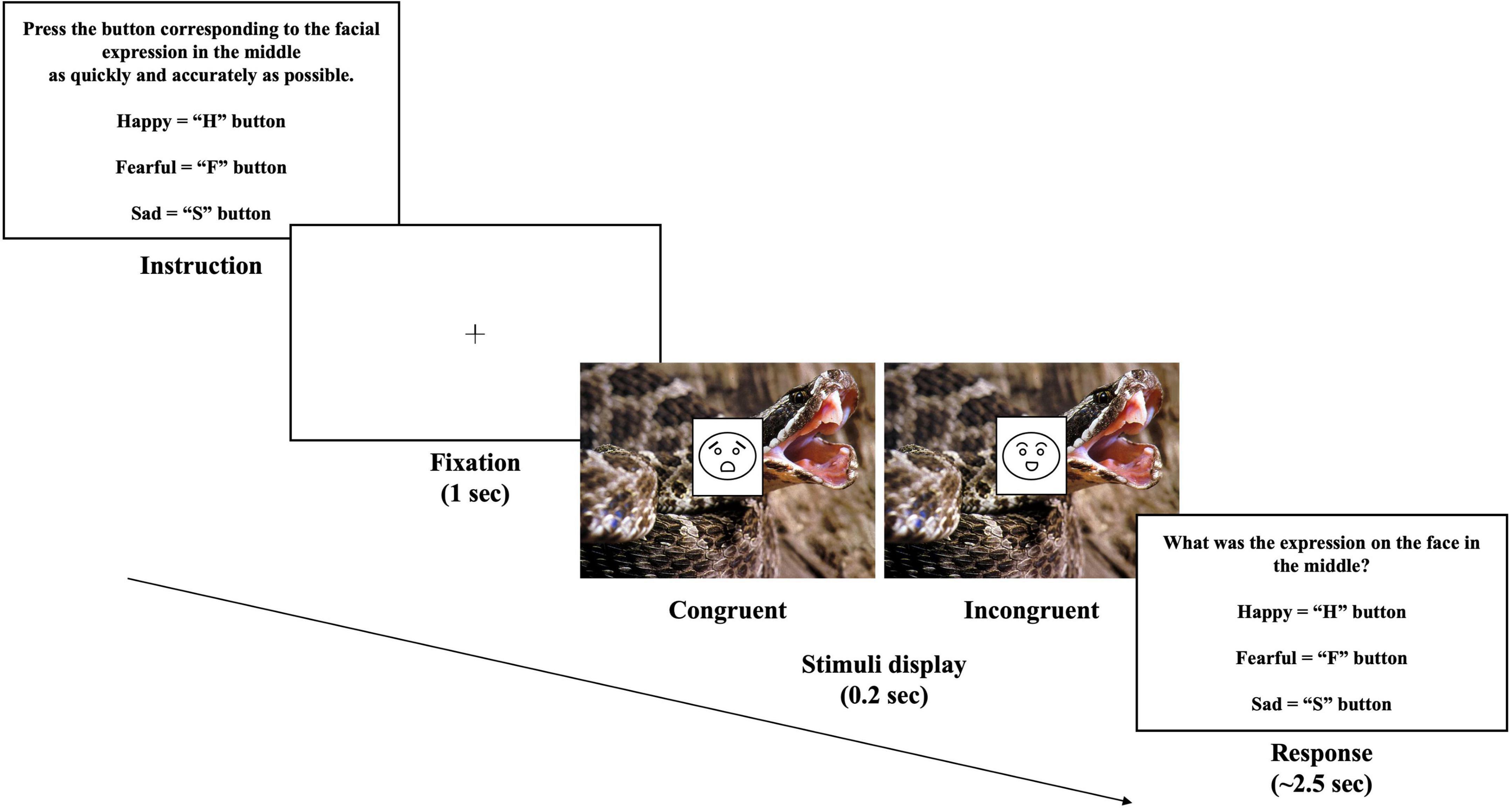 How Task Set and Task Switching Modulate Perceptual Processes: Is  Recognition of Facial Emotion an Exception? - Journal of Cognition