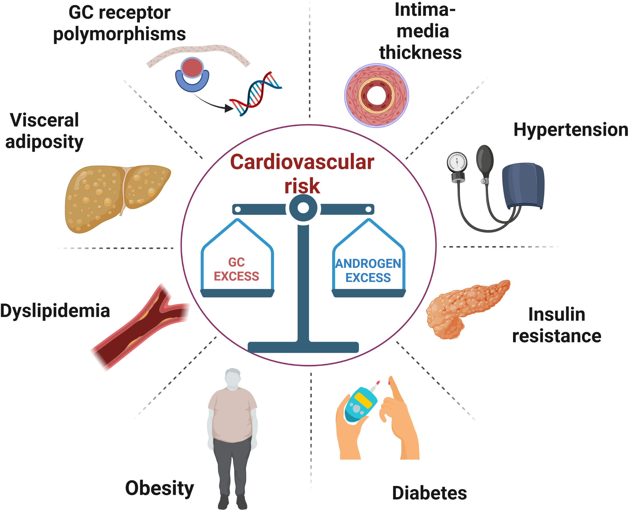 Frontiers Metabolic Syndrome And Cardiovascular Morbidity In Patients With Congenital Adrenal 9193