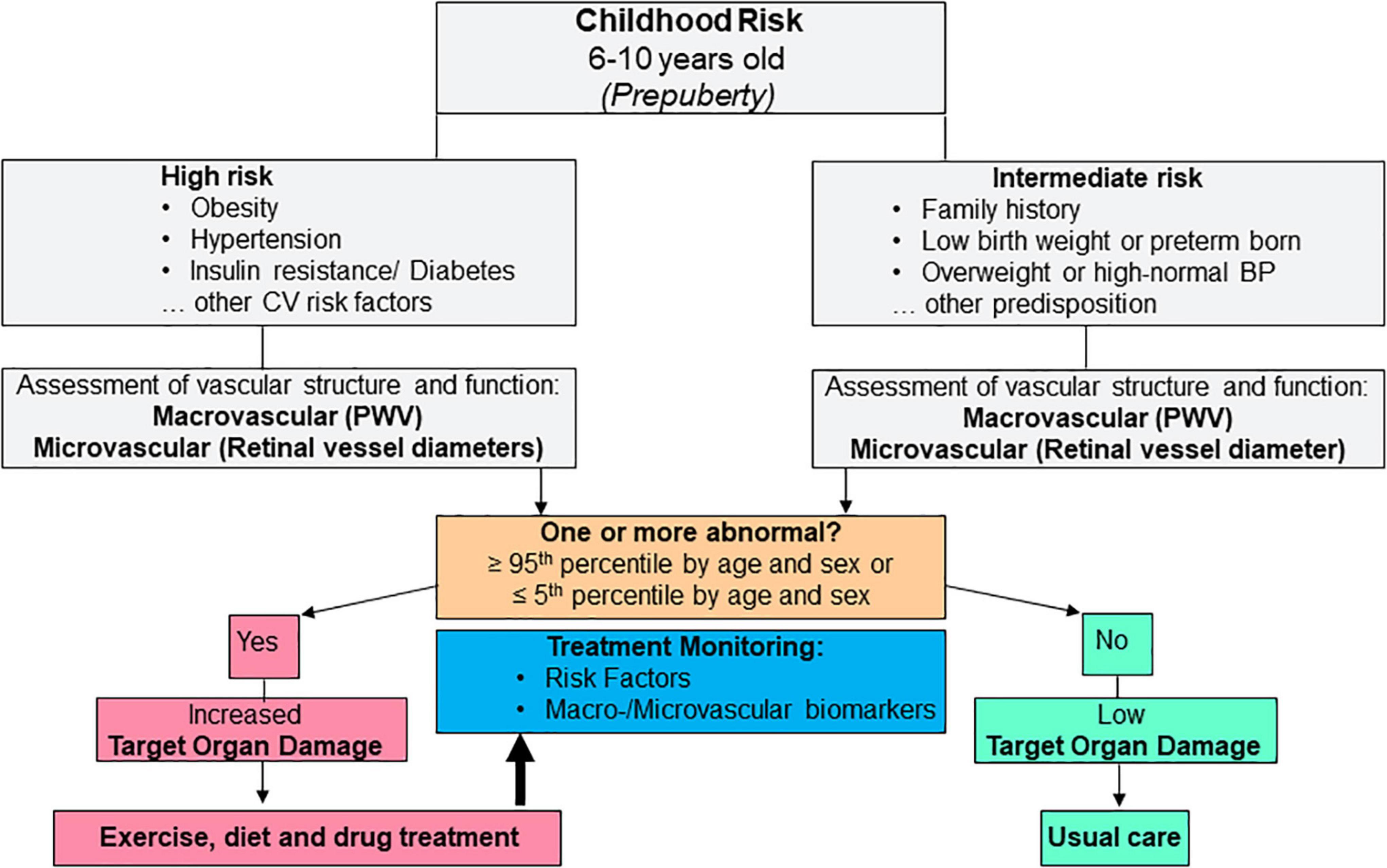 Frontiers | Vascular Biomarkers In The Prevention Of Childhood ...