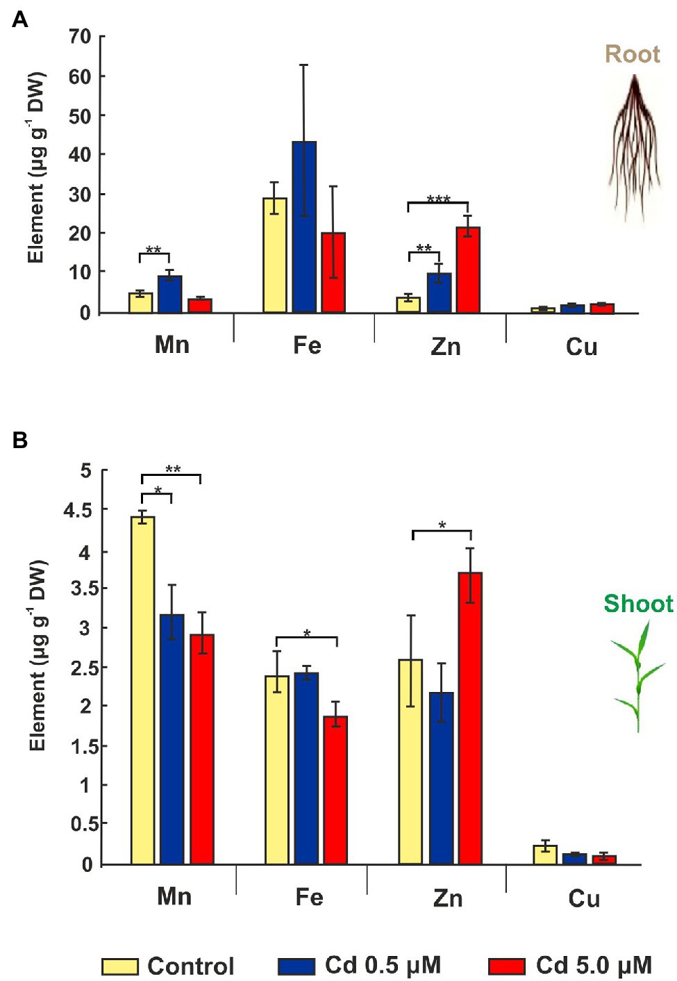 frontiers-effects-of-cadmium-on-root-morpho-physiology-of-durum-wheat