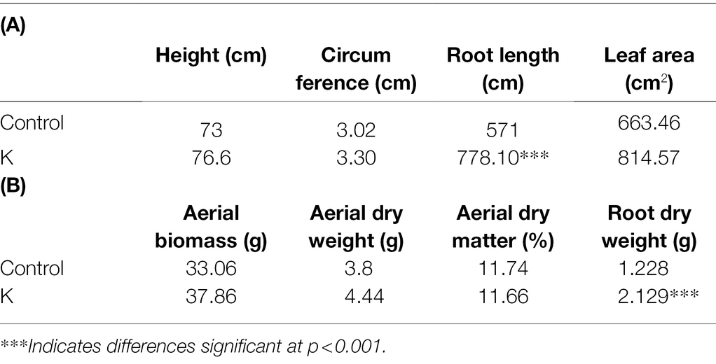 Frontiers  Mucilaginibacter sp. K Improves Growth and Induces