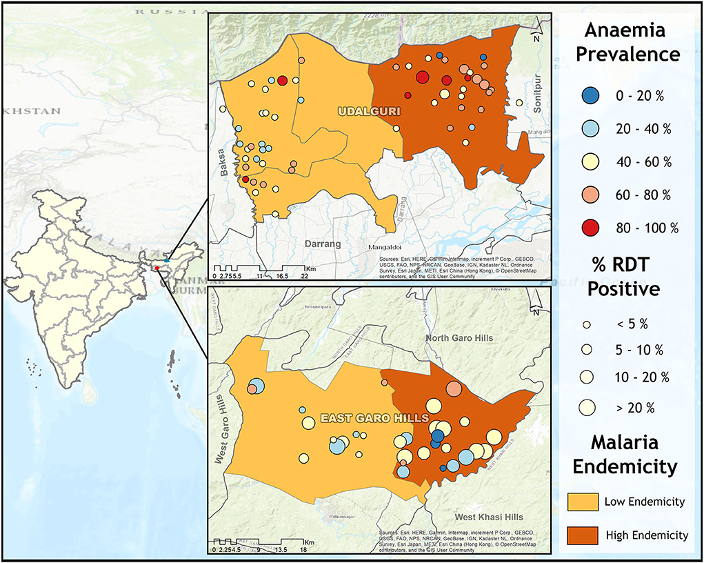 Frontiers Epidemiology of malaria and anemia in high and low malaria
