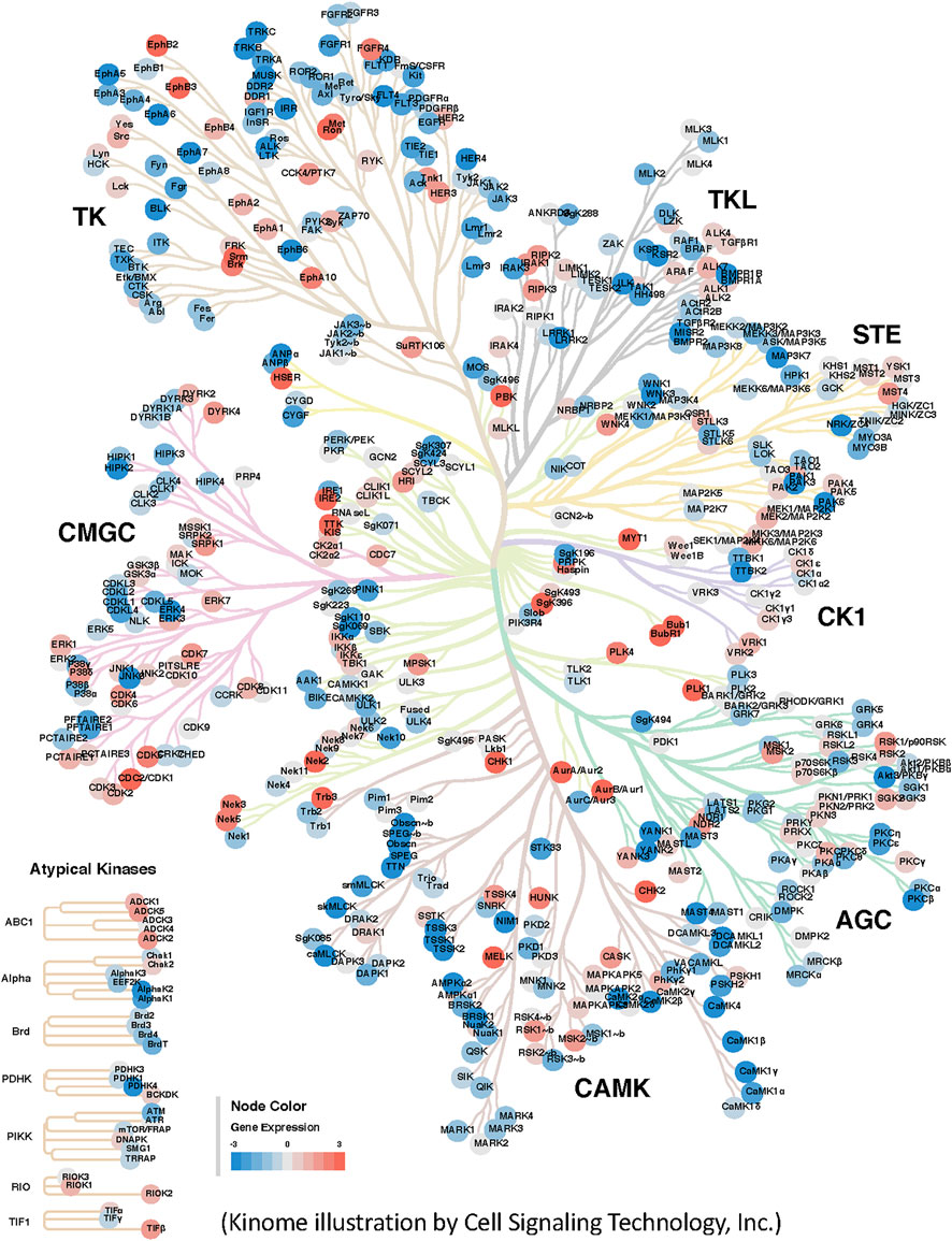 Strategies for Targeting Serine/Threonine Protein Phosphatases with Small  Molecules in Cancer