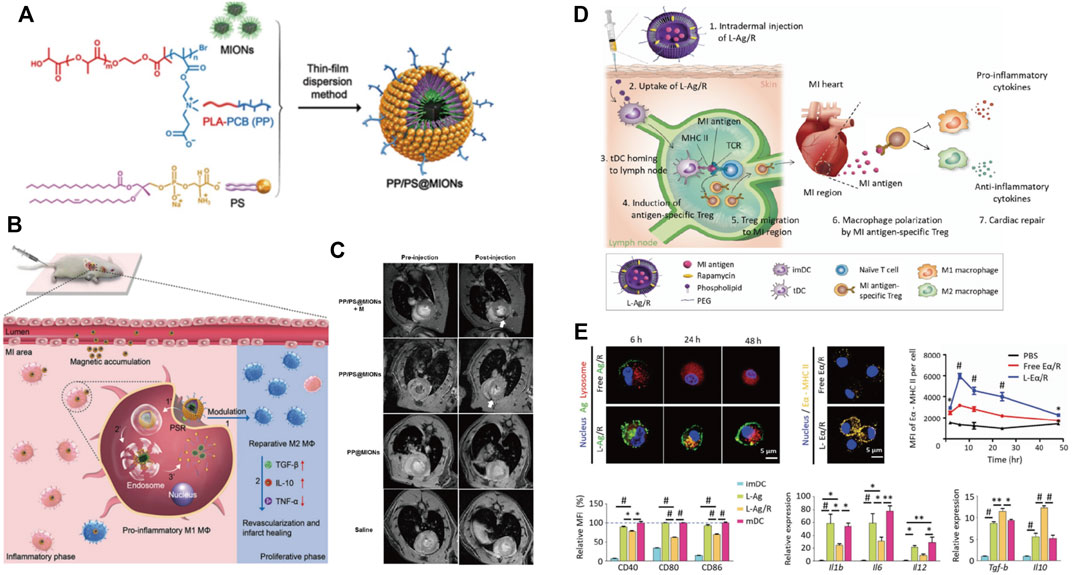 Various nanotechnology-based molecular imaging methods (A) PP/PS@MIONs