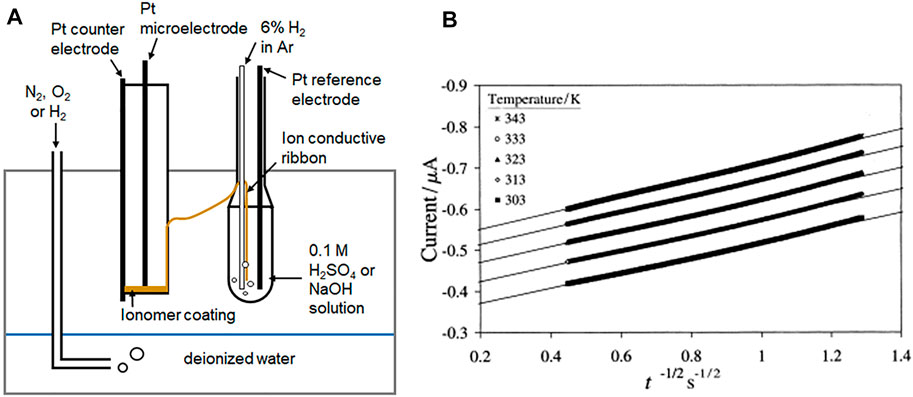 Frontiers | Gas Permeability Test Protocol for Ion-Exchange Membranes