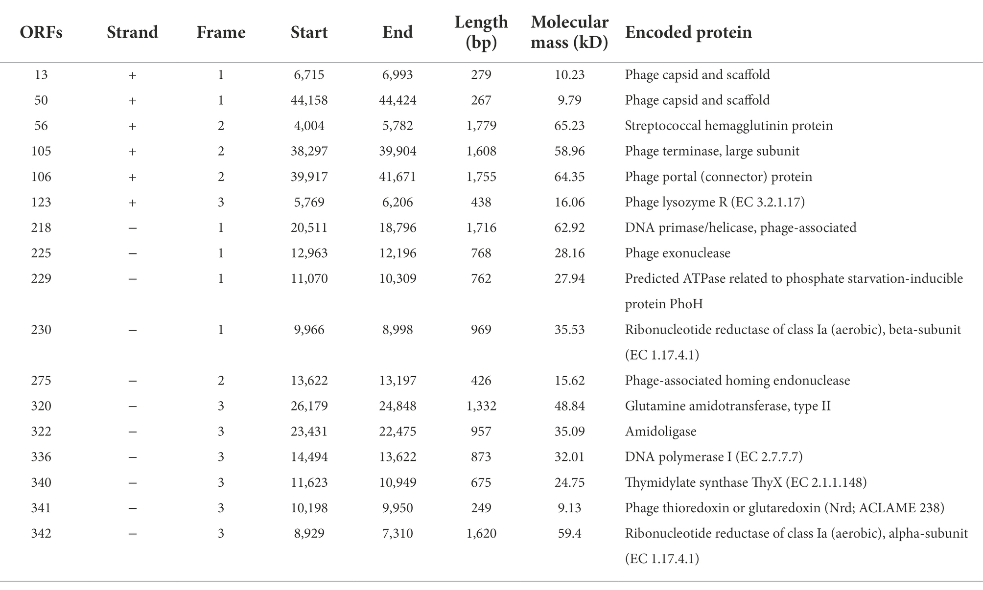 Frontiers | Isolation and characterization of two homolog phages 
