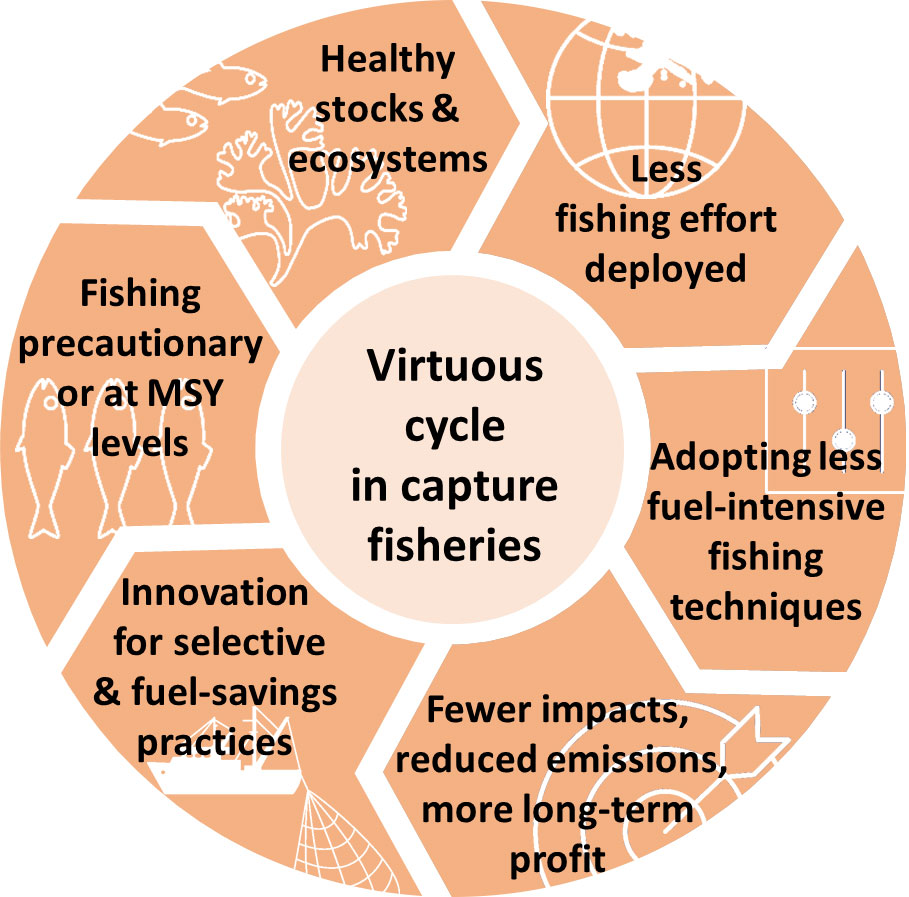Frontiers  Ten lessons on the resilience of the EU common fisheries policy  towards climate change and fuel efficiency - A call for adaptive, flexible  and well-informed fisheries management