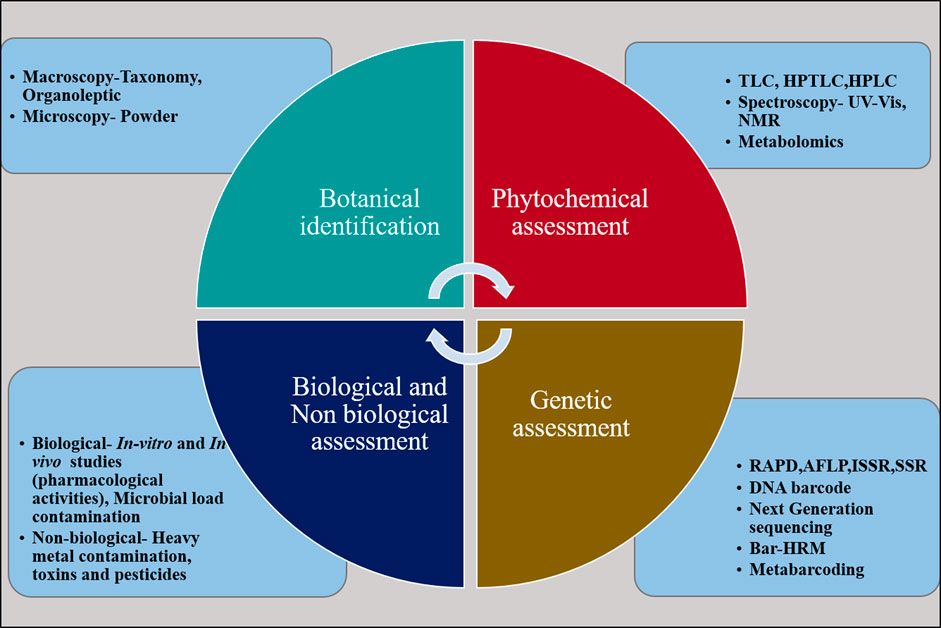 Frontiers Advancements And Future Prospective Of DNA Barcodes In The 