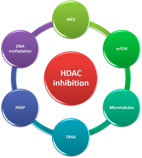 Novel Sustainable-by-Design HDAC Inhibitors for the Treatment of  Alzheimer's Disease