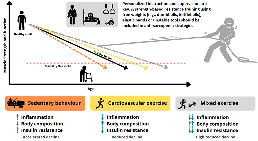 Frontiers  Strength training in elderly: An useful tool against