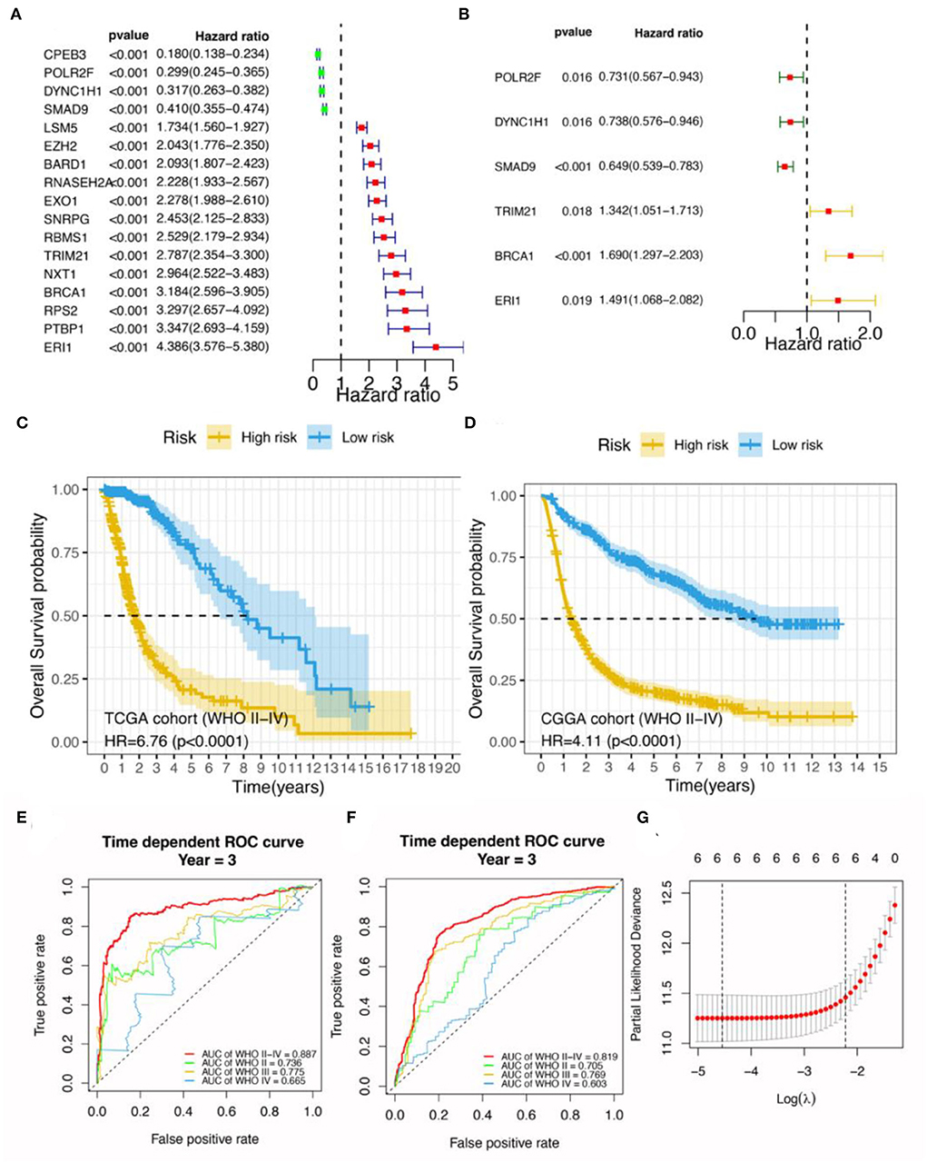 1021px x 1280px - Frontiers | Identification of a 6-RBP gene signature for a comprehensive  analysis of glioma and ischemic stroke: Cognitive impairment and  aging-related hypoxic stress
