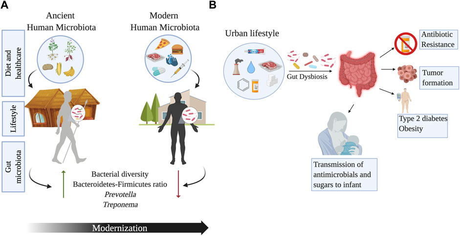 Frontiers A Complete Guide To Human Microbiomes Body Niches