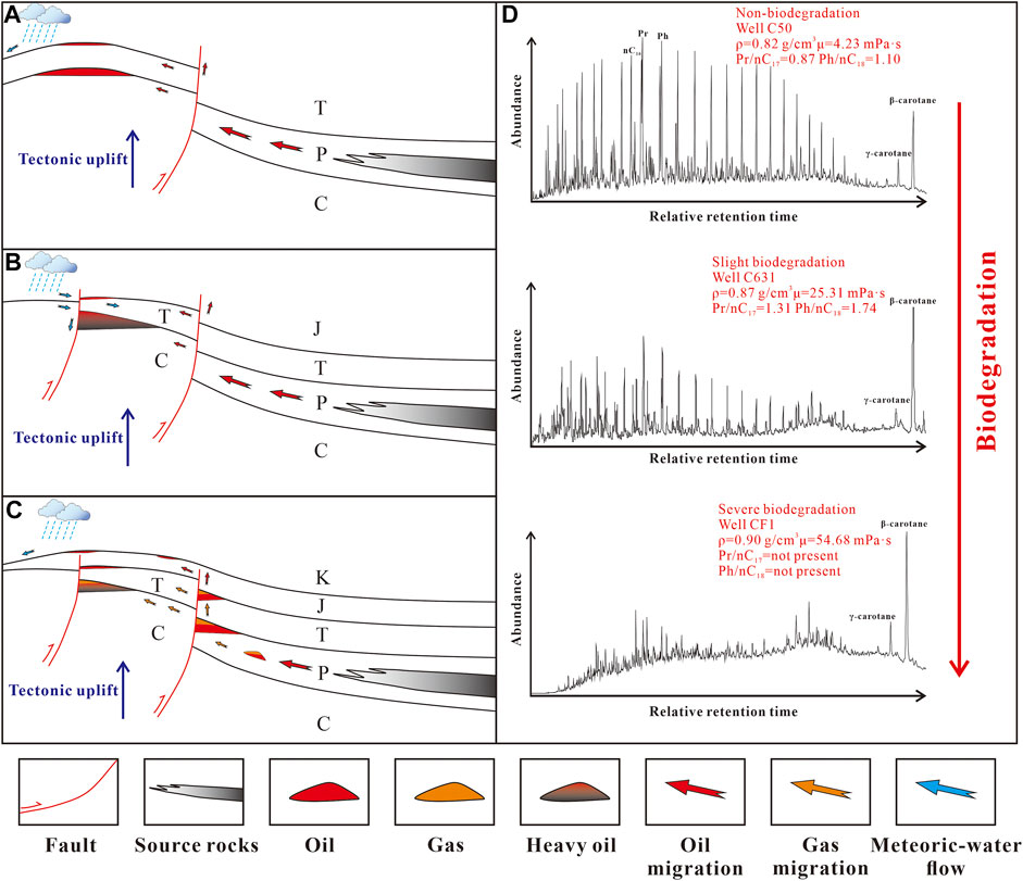 Frontiers Geochemical characteristics and origin of crude oil