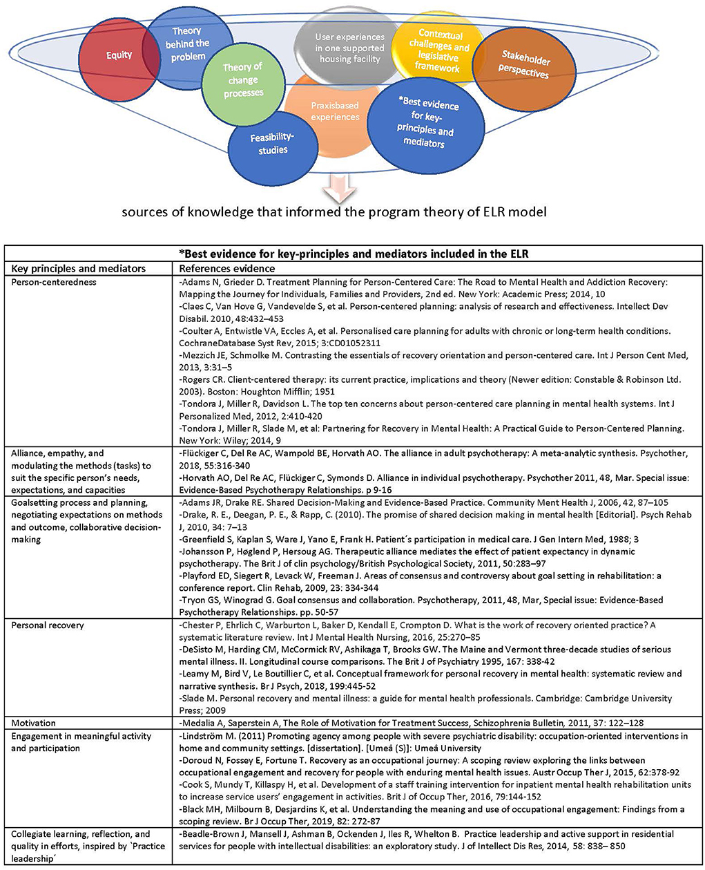 Canadian Occupational Performance and Engagement Model - InfOT