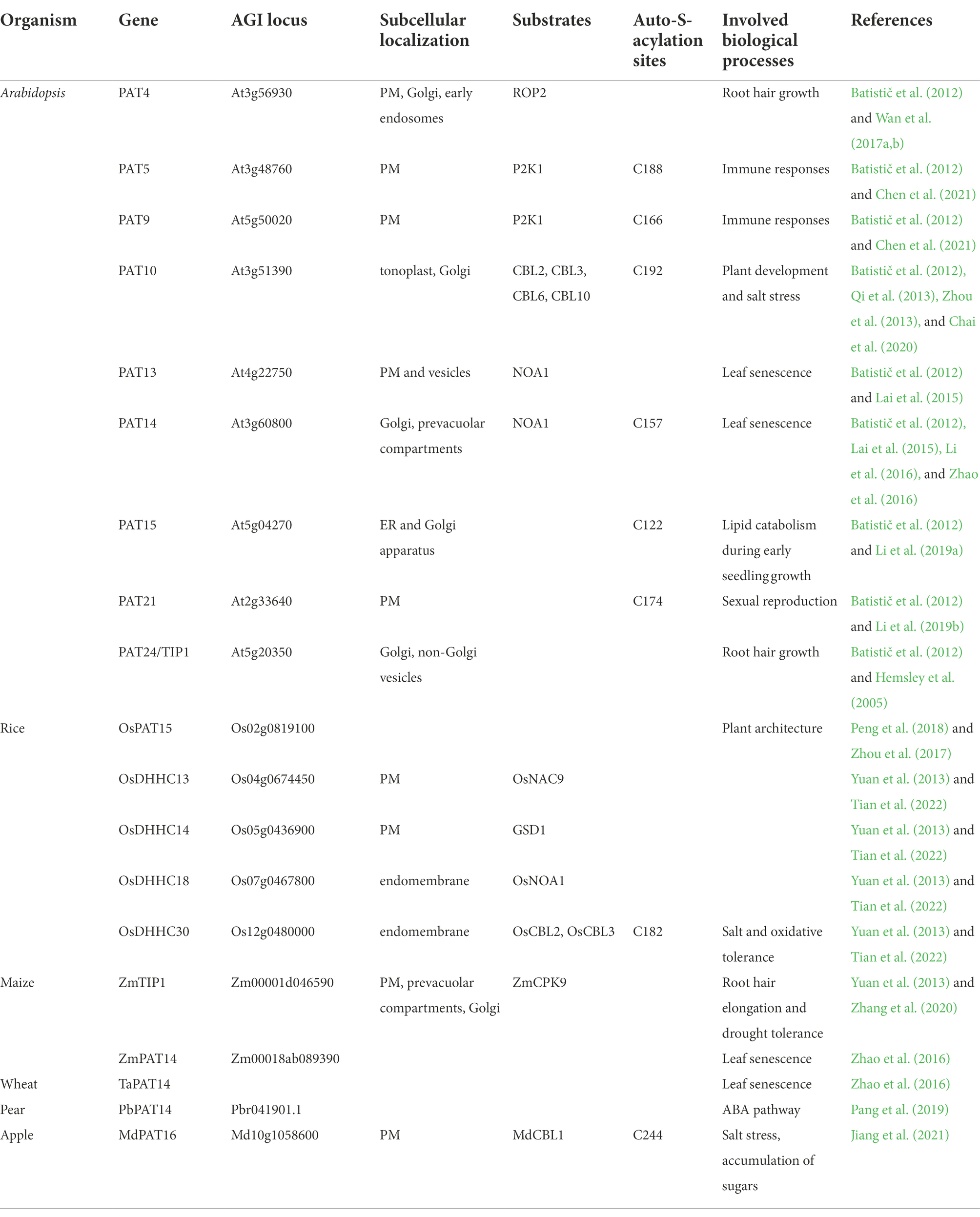 Frontiers | Protein S-acyltransferases and acyl protein thioesterases ...