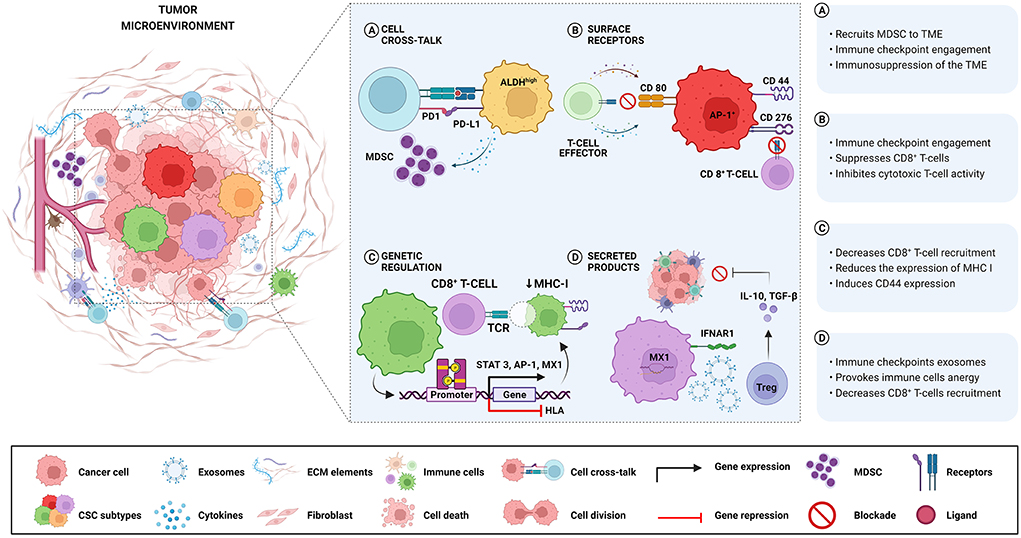 Translational Control of Immune Evasion in Cancer: Trends in Cancer