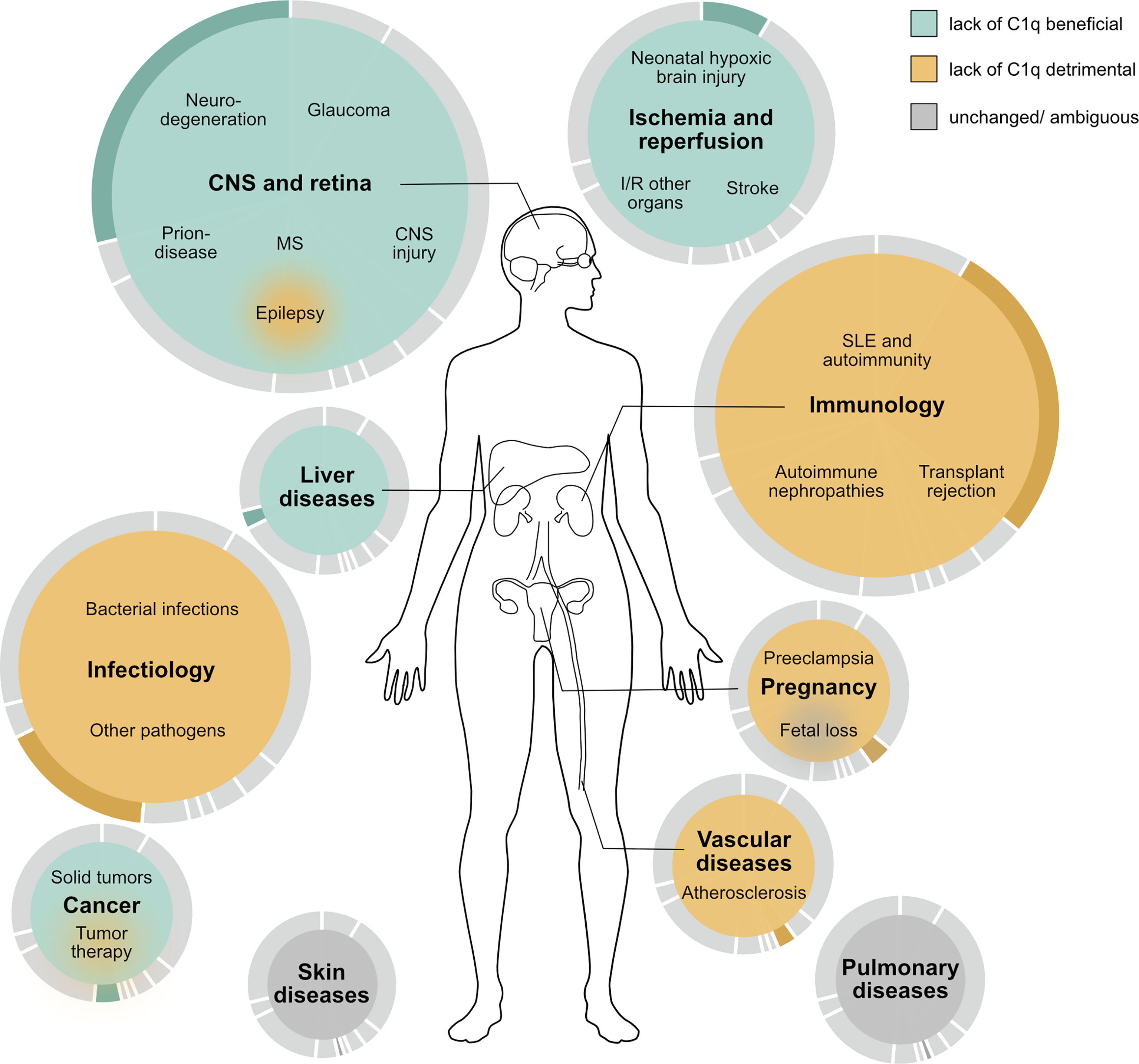 Frontiers  C1q and central nervous system disorders