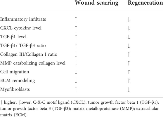 Frontiers  Exploring the contribution of pro-inflammatory cytokines to  impaired wound healing in diabetes